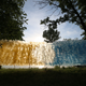 Image for article titled Weird Art Brings Plastic Shopping Bags Closer to Nature